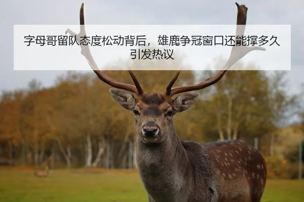 字母哥留队态度松动背后，雄鹿争冠窗口还能撑多久引发热议